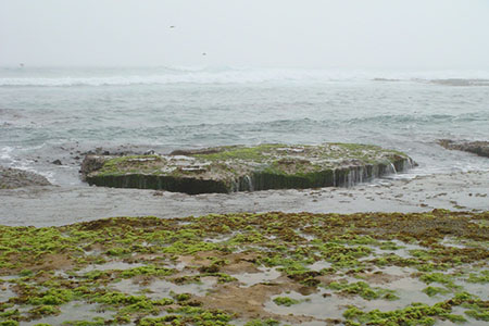 ocean scene